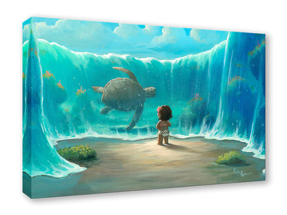 Moana's New Friend, by Rob Kaz