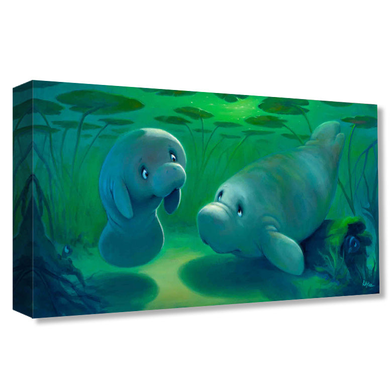 Mangrove Mermaids - Gallery Wrapped Canvas